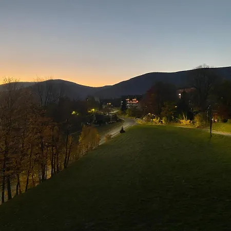 Kamilkowy *